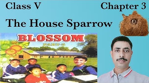 The House Sparrow, Class V, Chapter 3, Bihar Board English, English for All by Manish Sir