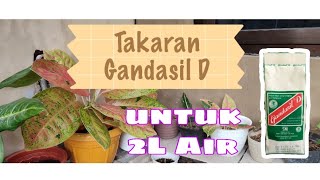 TAKARAN PUPUK GANDASIL D PADA TANAMAN HIAS | TAKARAN SENDOK GANDASIL D