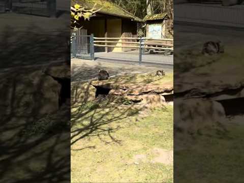 في ناس تكرهك ليس لأنك سيء ولكن لأن حضورك يلغي وجودهم