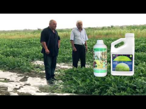 კომპანია \"ჯეოფერტი\"