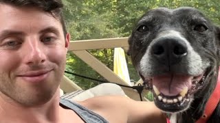 Guy's heartwarming gesture for dumped dog by GeoBeats Animals 74,845 views 9 days ago 3 minutes, 2 seconds