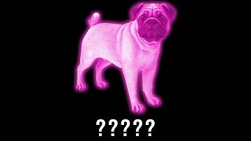 15 Dog "Barking" Sound Variations in 35 Seconds | MODIFY EVERYTHING