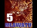 SIMULIZI TamЁЯСЙ CHUI MLAWATU SEHEM 5 SIMULIZI TamЁЯСЙ CHUI MLAWATU SEHEM 5