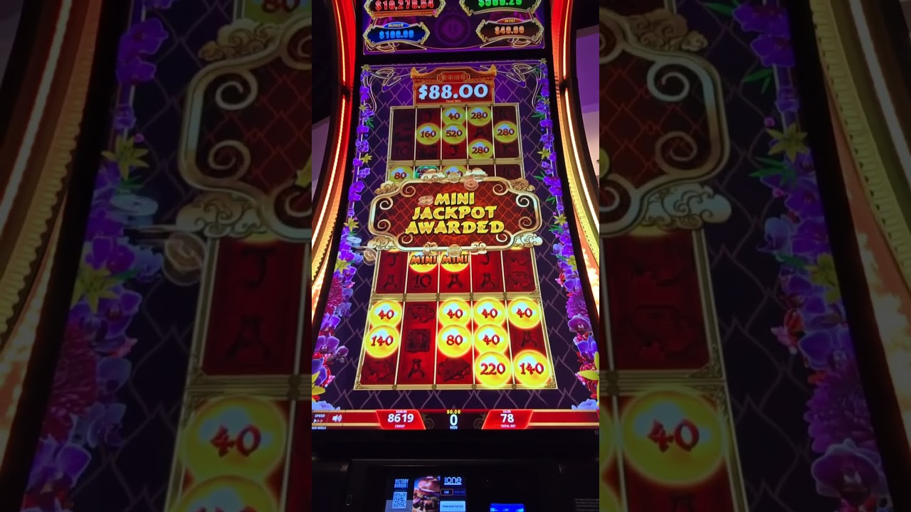 I Wasn't Expecting This From Botox Joyce's Bonus Round 