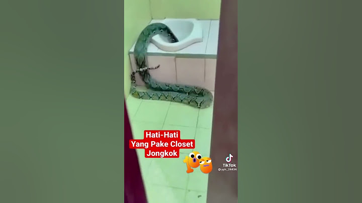 MENGERIKAN ular besar masuk kloset jongkok.