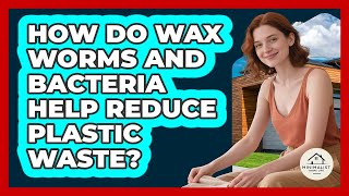 How Do Wax Worms And Bacteria Help Reduce Plastic Waste? - Minimalist Home Life