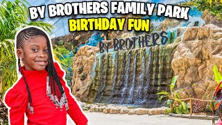 By Brothers Family Park Birthday Fun