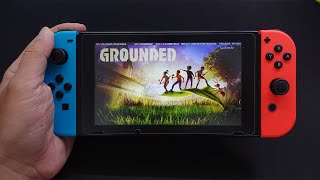 Grounded Gameplay On Nintendo Switch 30FPS