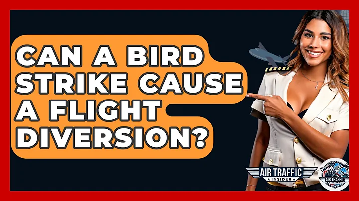 Can A Bird Strike Cause A Flight Diversion? - Air Traffic Insider