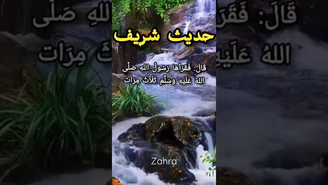 280 - حديث النبي ﷺ “إن العبد يؤجر في نفقته كلها إلا البناء” - عثمان الخميس