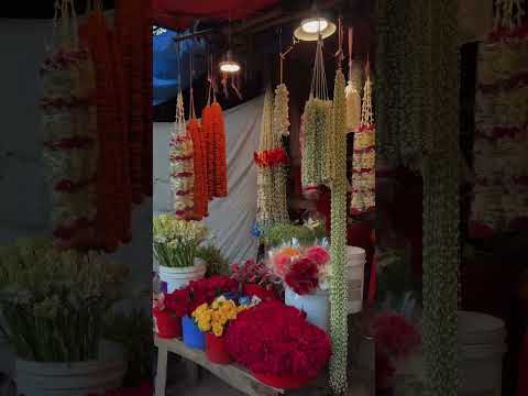 গোলাপের দোকানের শাহবাগ মোড়েতে 🌹🏵️ #bangladesh #shorts #ytshorts #shortvideo #youtuber