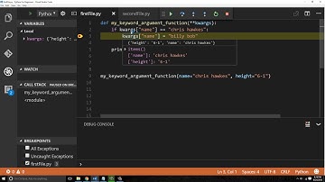 Python Beginner (**kwargs)