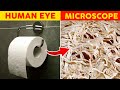 Things You Can Only See Under Microscope | FactList