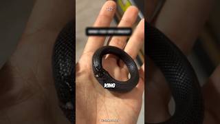 Si Bro Ini Salah Target