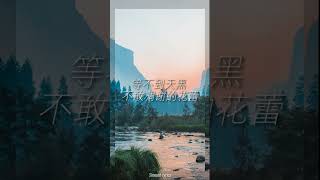 林俊杰 - 她说 (等不到天黑 烟火不会太完美)（歌词版）(Lyrics)