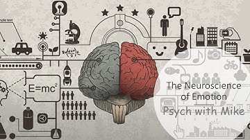 Neuroscience of Emotion