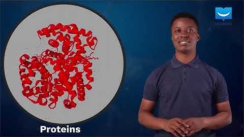 Natural and synthetic polymers