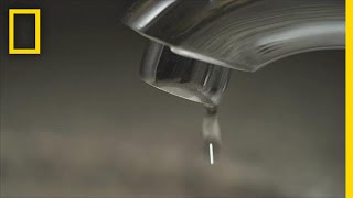 Most Annoying Sound on Earth Finally Explained by Science | National Geographic