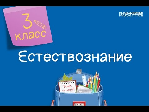 Естествознание. 3 класс. Состав воздуха /21.12.2020/