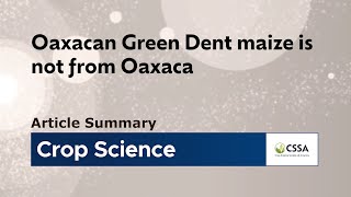 Oaxacan Green Dent maize is not from Oaxaca