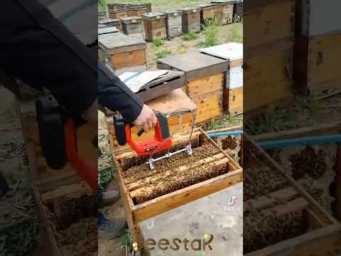 Инструмент для пчеловода
