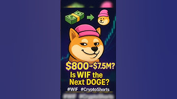 $800 to $7.5M with Dogwifhat?! Can Kaanch Network really 100x? #WIF #KaanchNetwork #CryptoShorts