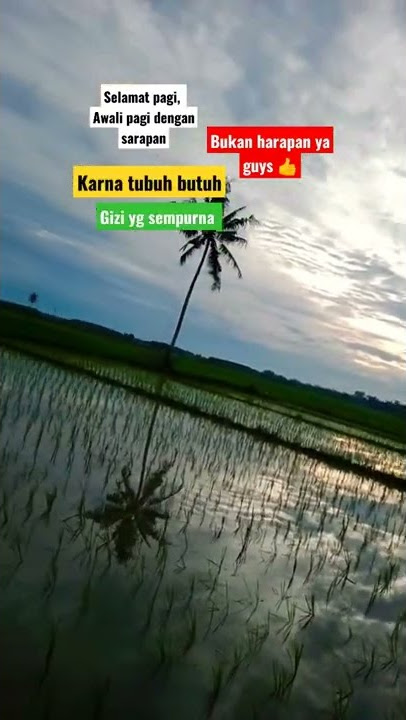 bingung buat story pagi ?nih pake ini 👍| story wa pemandangan alam pagi hari | way seputih Lampung
