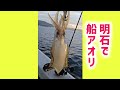 船アオリイカ釣りに挑戦してきました!
