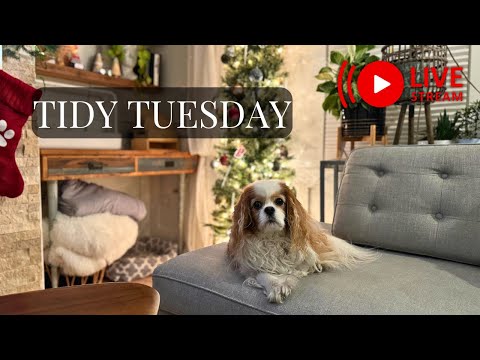 Tidy Tuesday: Thanksgiving Prep  Live (accountability Buddy Hangout)