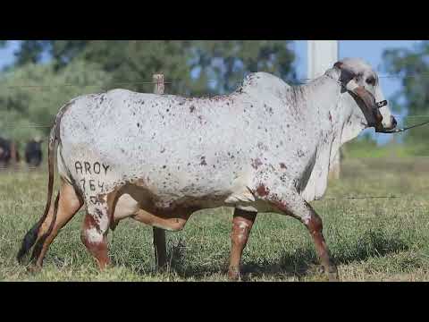 Lote 19 - AROY 764