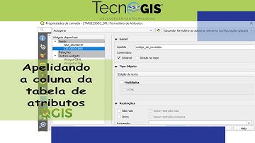 Apelidando a coluna da tabela de atributos no QGIS