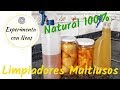 Limpiadores Multiusos y Desengrasantes Naturales. Zero Waste .DIY