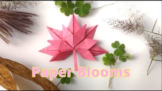 “Fold a Beautiful Maple Leaf 🍁 | Easy Origami Tutorial for Beginners”
