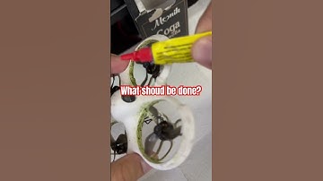 Best fpv drone 2023.Fpv drone beginner. #fpvdrone #kamikaze #drone #simulator #betafpv #cetuspro