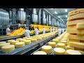 How CHEESE is Made in The Factory 🧀🧀