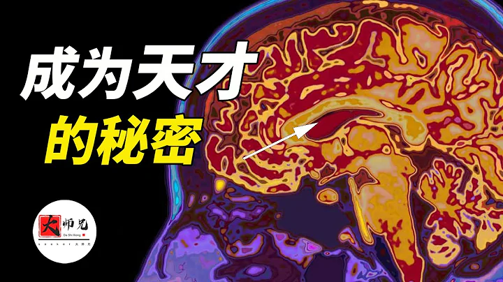 科學家發現，大腦中隱藏著成為天才的秘密模式，居然和佛教不謀而合 - 天天要聞