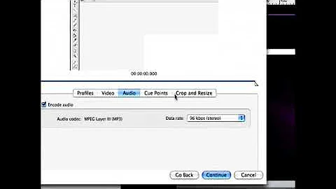 Importing Video to Flash CS3