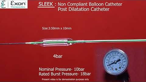 SLEEK: Non Compliant Balloon Catheter ( Post Dilatation balloon catheter)