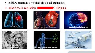 Insight to miRNA – From Discovery to Biomarker Application | BioVendor #05