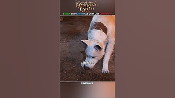 Scratch and Owlbear Cub Abused at the Goblin Party - Baldur