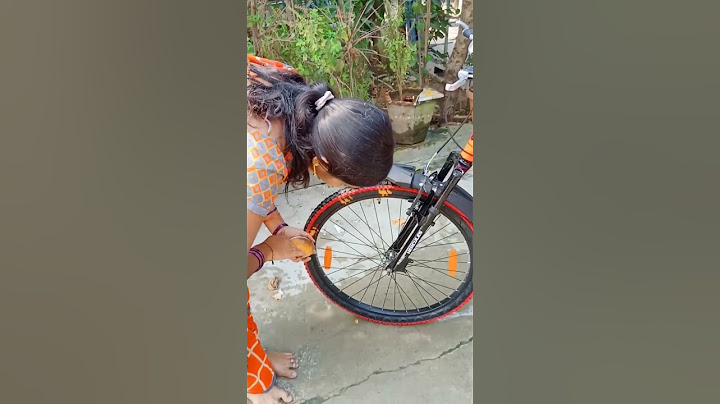 my new bicycle
