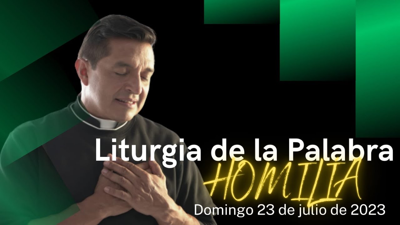 Padre Chucho - homilía domingo 23 de Julio de 2023