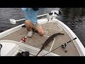 Fishing with live shrimp in fowl river!