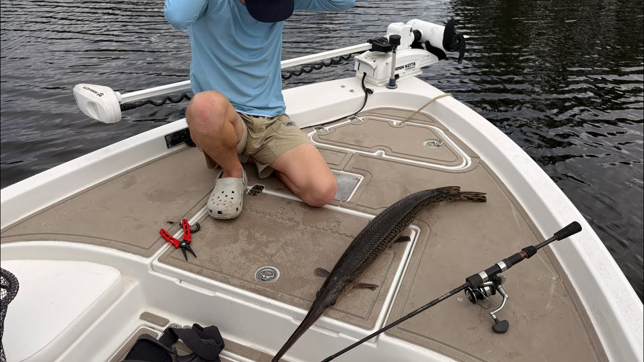 Fishing with live shrimp in fowl river!