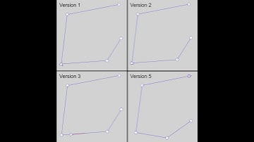 Path Following: Different Versions