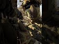 climb to the top (tree) to get your reward! - Airsoft Polarstar F2 #gameplay #combat #tactical