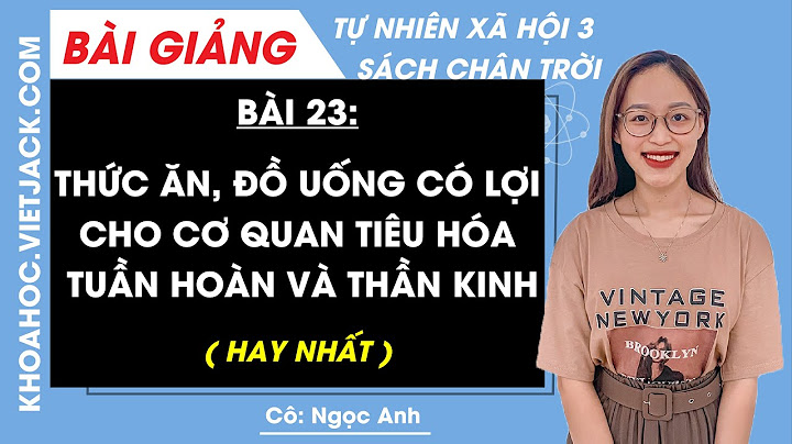 Bài tập tự nhiên xã hội lớp 3 bài 23