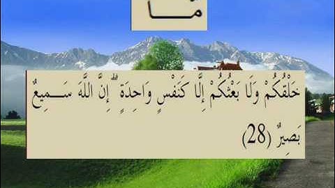 القران الكريم سورة لقمان الاية 28.wmv