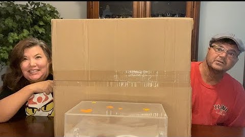 Amazing WhatNot Auction Wins from @BKPHIPPS4 All Music Funko Pops Sale Hendrix AC/DC Queen and more