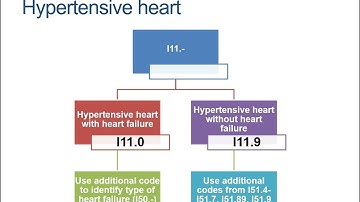 2023 ICD 10 CM CODING GUIDELINES FOR Chapter 9 Diseases of the Circulatory System   PART 1